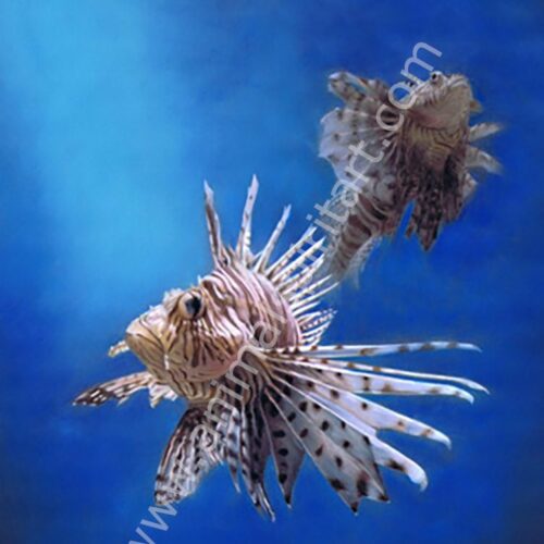 2 lionfish in a marine environment