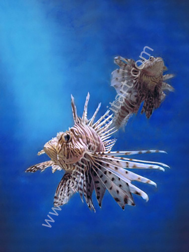 2 lionfish in a marine environment