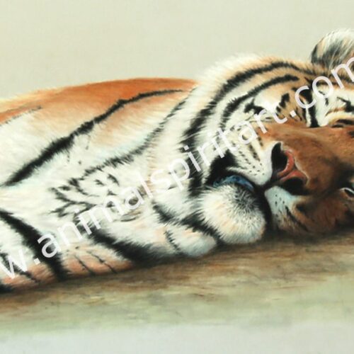 pastel painting of an Amur Tiger