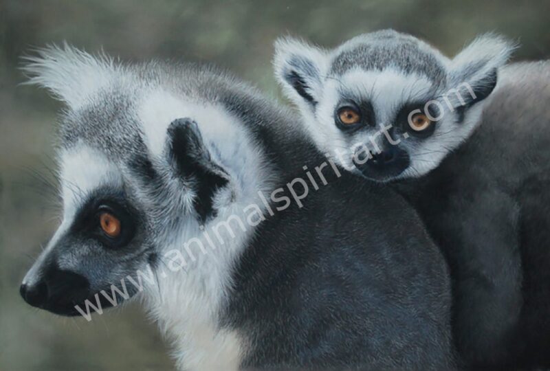 Ringtailed Lemur and Baby