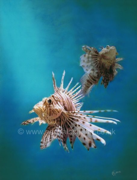 2 lionfish in a marine environment