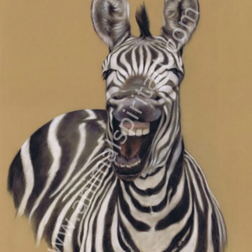 Laughing Zebra