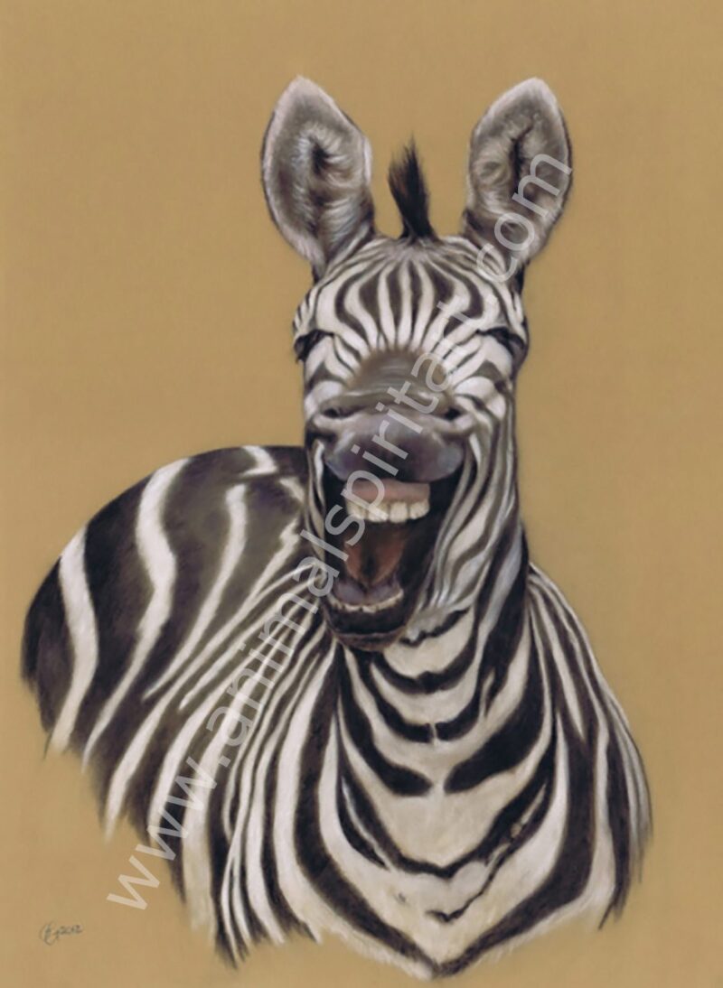 Laughing Zebra