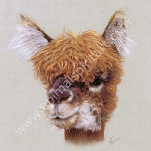 Mop head Llama print