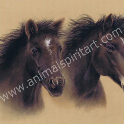 Picture of two horses running