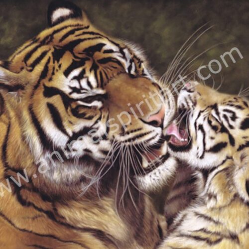 Sumatran Tiger and Cub