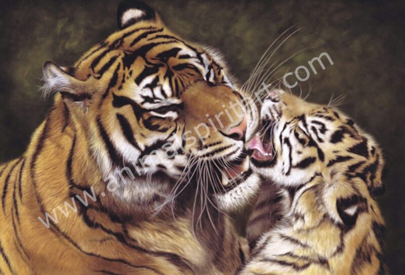 Sumatran Tiger and Cub