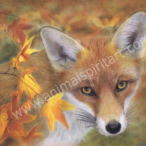 Autumn Fox