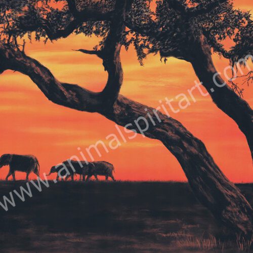 Elephants in distance and tree in silhouette in foreground at sunset