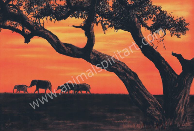 Elephants in distance and tree in silhouette in foreground at sunset