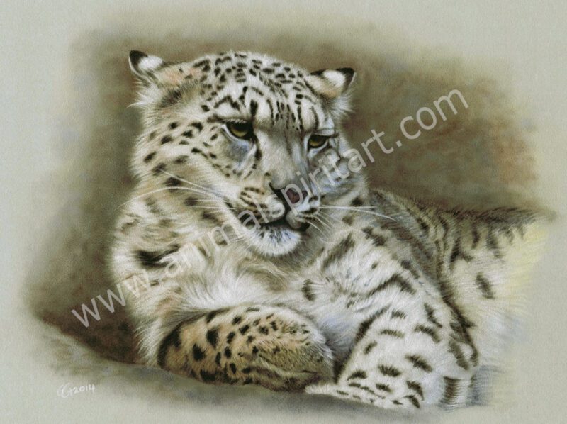 Snow leopard