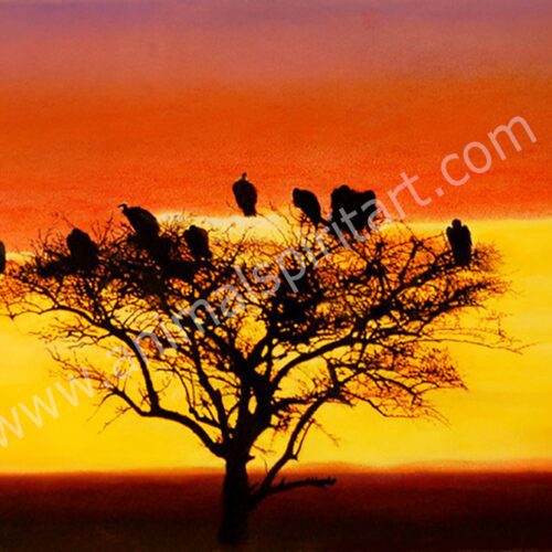 Vultures in a silhouetted tree at sunset